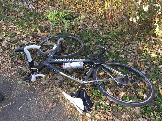 aggressive squirrel attacks politician on bike