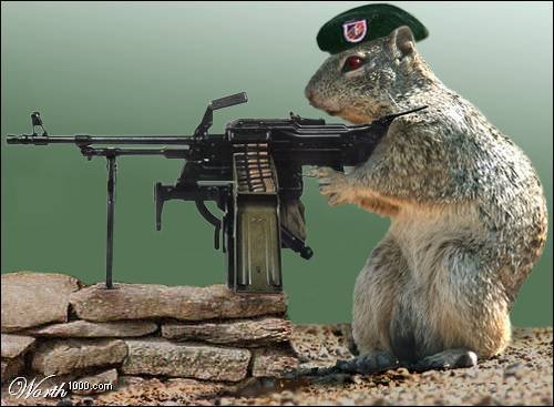 aggressive squirrel with gun