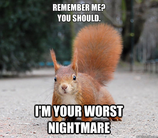 Remember me? I'm your worst nightmare - Squirrel Meme